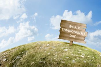CELEBRIAMO LA GIORNATA INTERNAZIONALE DELL'AMBIENTE 2024